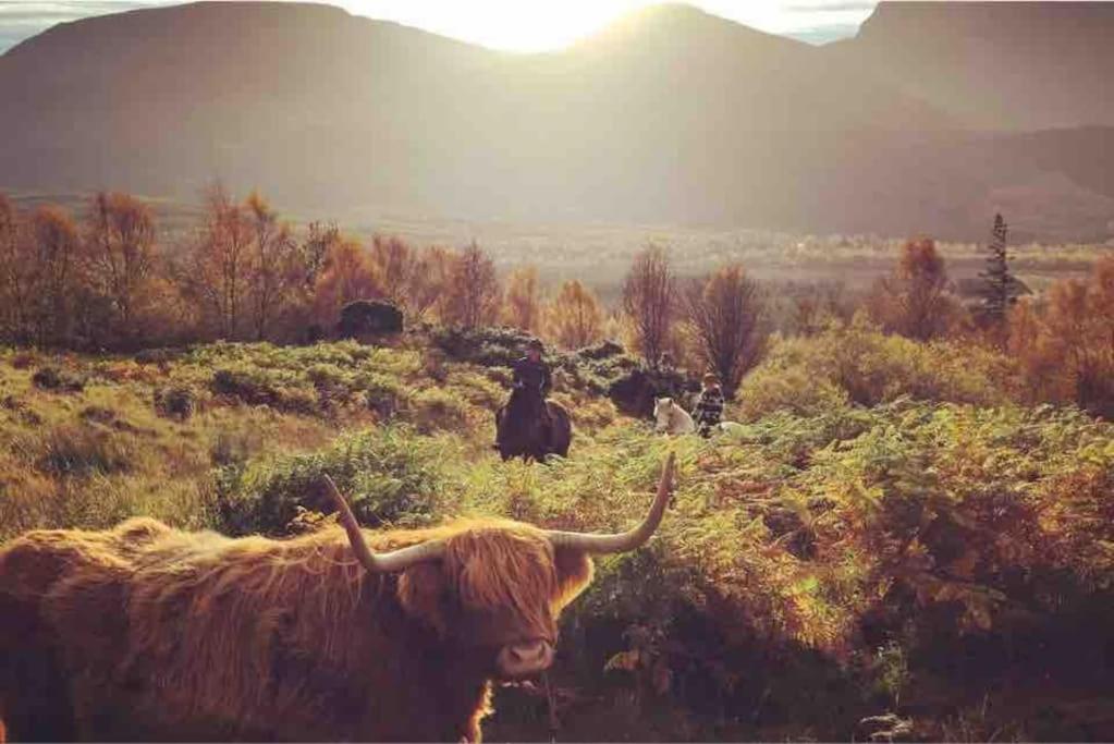 Wild Nurture Eco Luxury Offgrid Log Cabin Fort William Ngoại thất bức ảnh