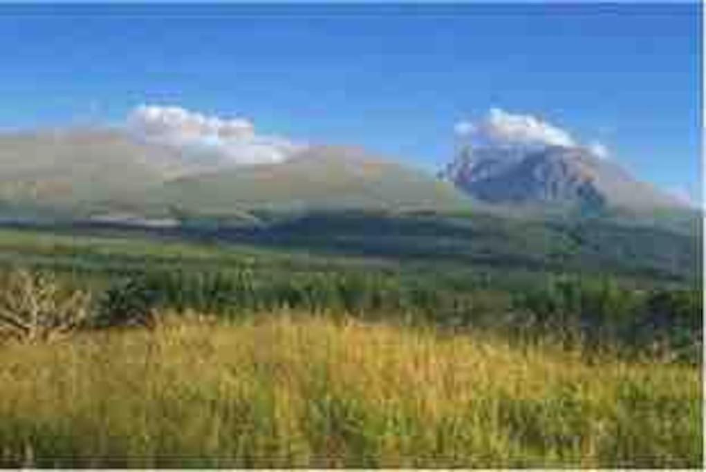 Wild Nurture Eco Luxury Offgrid Log Cabin Fort William Ngoại thất bức ảnh