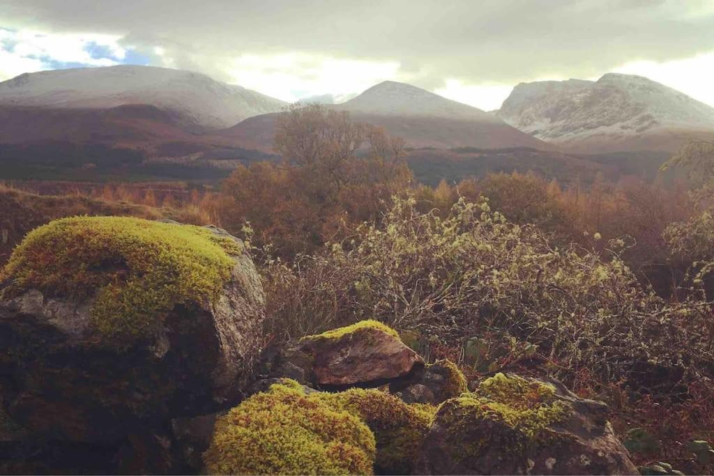 Wild Nurture Eco Luxury Offgrid Log Cabin Fort William Ngoại thất bức ảnh