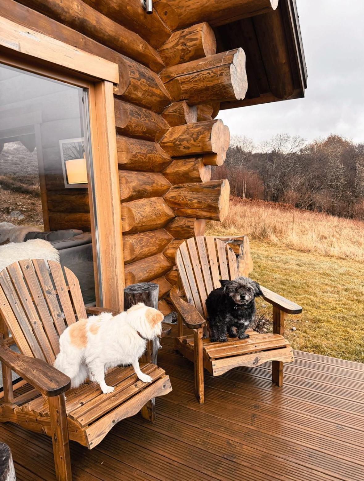 Wild Nurture Eco Luxury Offgrid Log Cabin Fort William Ngoại thất bức ảnh